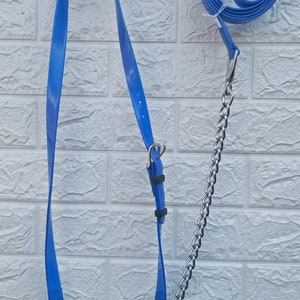 Horse Bridle Show Halter with Reins