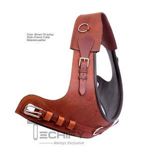 Brown leather deluxe comfortable fit french brollar athletic collar all sizes-Free brass custom name plate