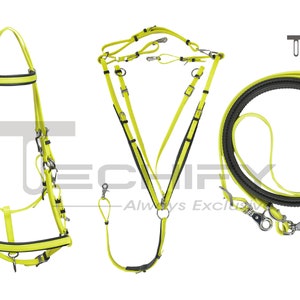 Lemon Green Endurance Halter Bridle Chest Plate Waterproof Colorful Horse Riding Gear for Aesthetics FREE CUSTOM NAME Brass Plate Set of 3