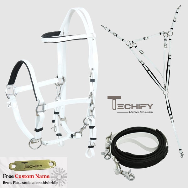 Horse White Endurance Halter Bridle Reins w Breast Plate Set- Equestrian Tack -Free Custom Name Brass Plate on bridle