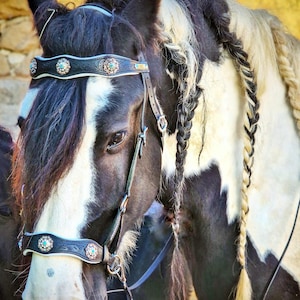 Handmade Horse Leather Black Bridle Dressage Sidepull Bitless Bridle with Reins