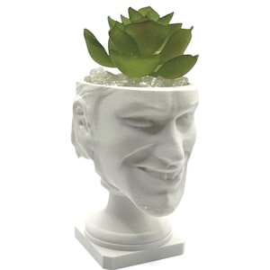 May include: A white, smiling human head planter with a green succulent and clear decorative stones. The planter has a square base and a detailed face. The succulent is a vibrant green color.