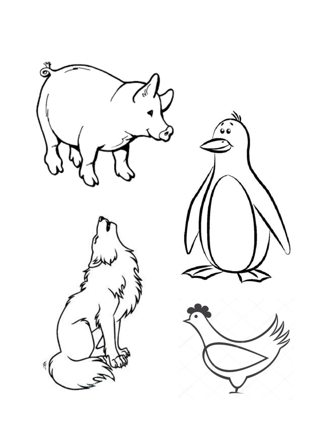 10 Animal Coloring In Pictures for Relaxation and Creativity