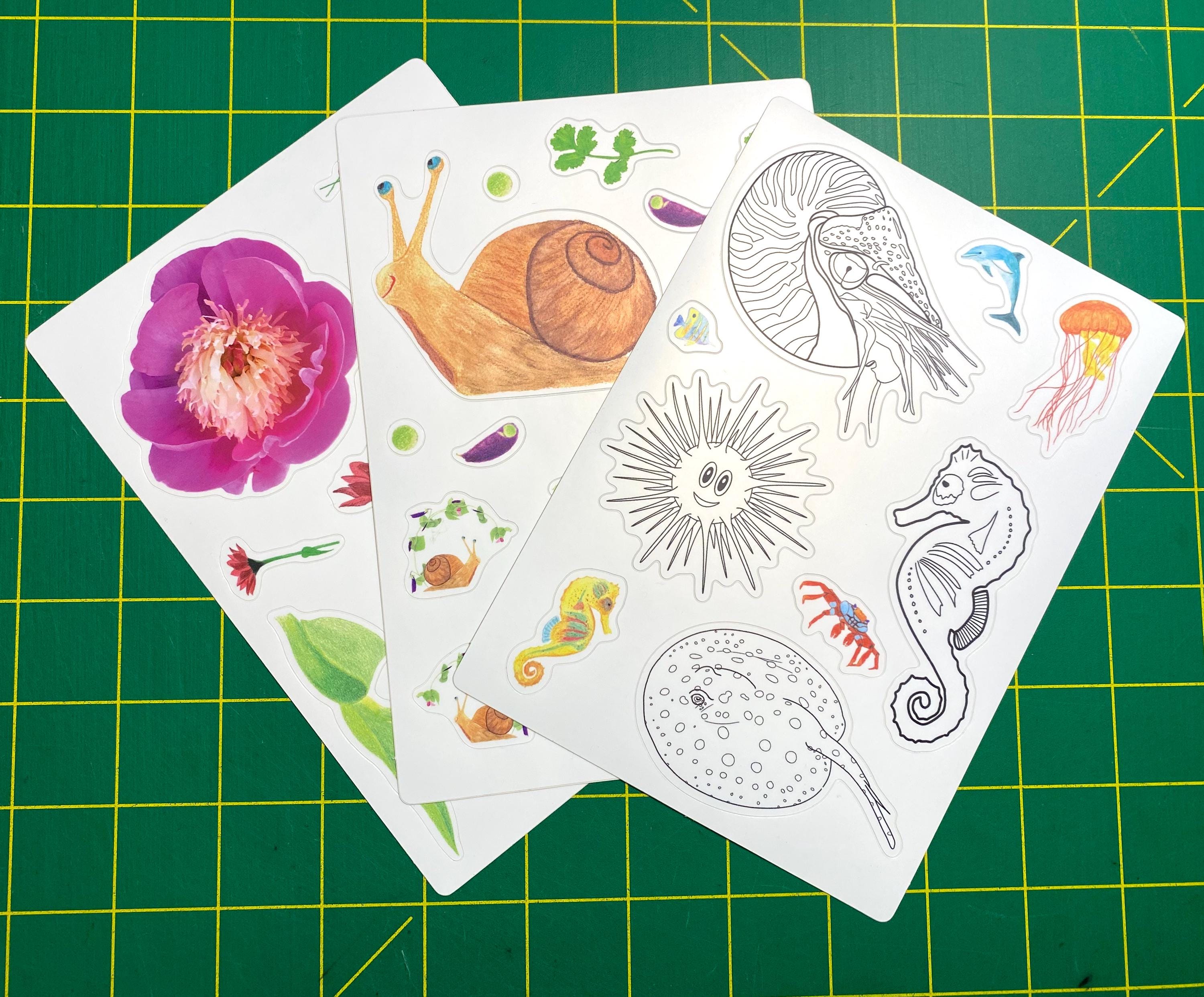 Aquatic Animals Coloring Sticker Sheet: Nautilus, Sea Urchin, Xingu Ray ...