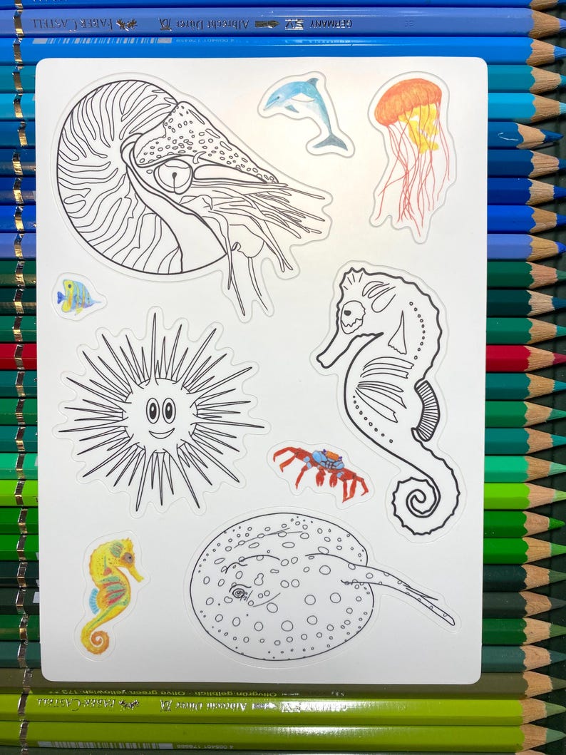 Aquatic Animals Coloring Sticker Sheet: Nautilus, Sea Urchin, Xingu Ray ...