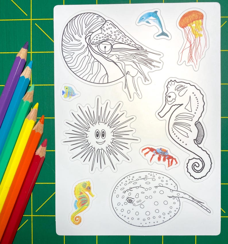 Aquatic Animals Coloring Sticker Sheet: Nautilus, Sea Urchin, Xingu Ray ...