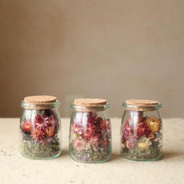 Dried Flower Terrarium, Herbarium Apothecary Jars, Mother's Day Gifts under 25, Preserved Flower Specimens, Wildflower Wedding & Home  Decor