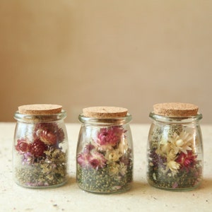 Colorful Dried Flower Terrarium Bouquets, Apothecary Decor, Naturally Preserved Herbarium Flowers in Glass Jars, Gifts under 25