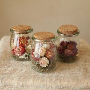 May include: Three clear glass jars with cork lids, each filled with a variety of dried flowers. The jars contain arrangements of red, pink, white, and green dried botanical elements, visible through the transparent glass walls of the containers.