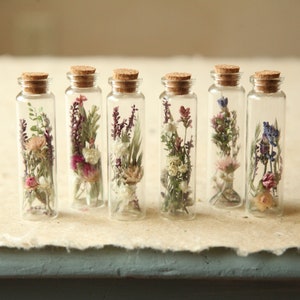 Puede incluir: Seis viales de vidrio transparente con tapones de corcho, cada uno con un arreglo único de flores secas y vegetación en tonos rosa, morado, blanco y verde. Las pequeñas botellas cilíndricas están dispuestas en fila, mostrando elementos botánicos.