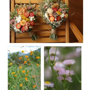 Photo featuring our Appalachian flower gardens. All flowers are grown organically and regeneratively, on our biodiverse small scale flower farm and support biodiverse pollinator habitats.