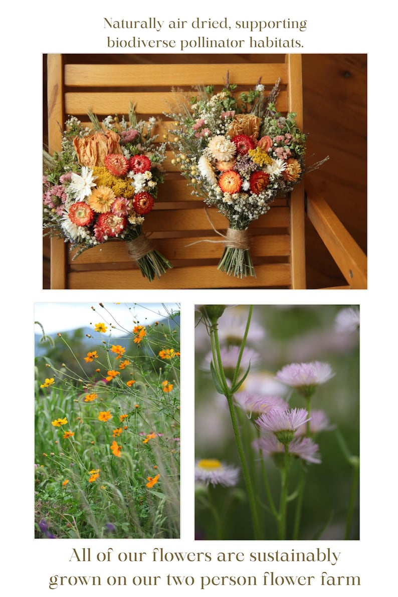 Photo featuring our Appalachian flower gardens. All flowers are grown organically and regeneratively, on our biodiverse small scale flower farm and support biodiverse pollinator habitats.