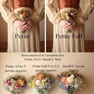 Dried flower bouquet size guide featuring three dried flower bouquets, one labeled 'Petite 4.5 to 5' across approx', one labeled 'Petite Full 5 to 5.5' across approx', and one labeled 'Small 6 Across Approx'. This is a visual guide explaining the bouquet sizes for total size clarity.