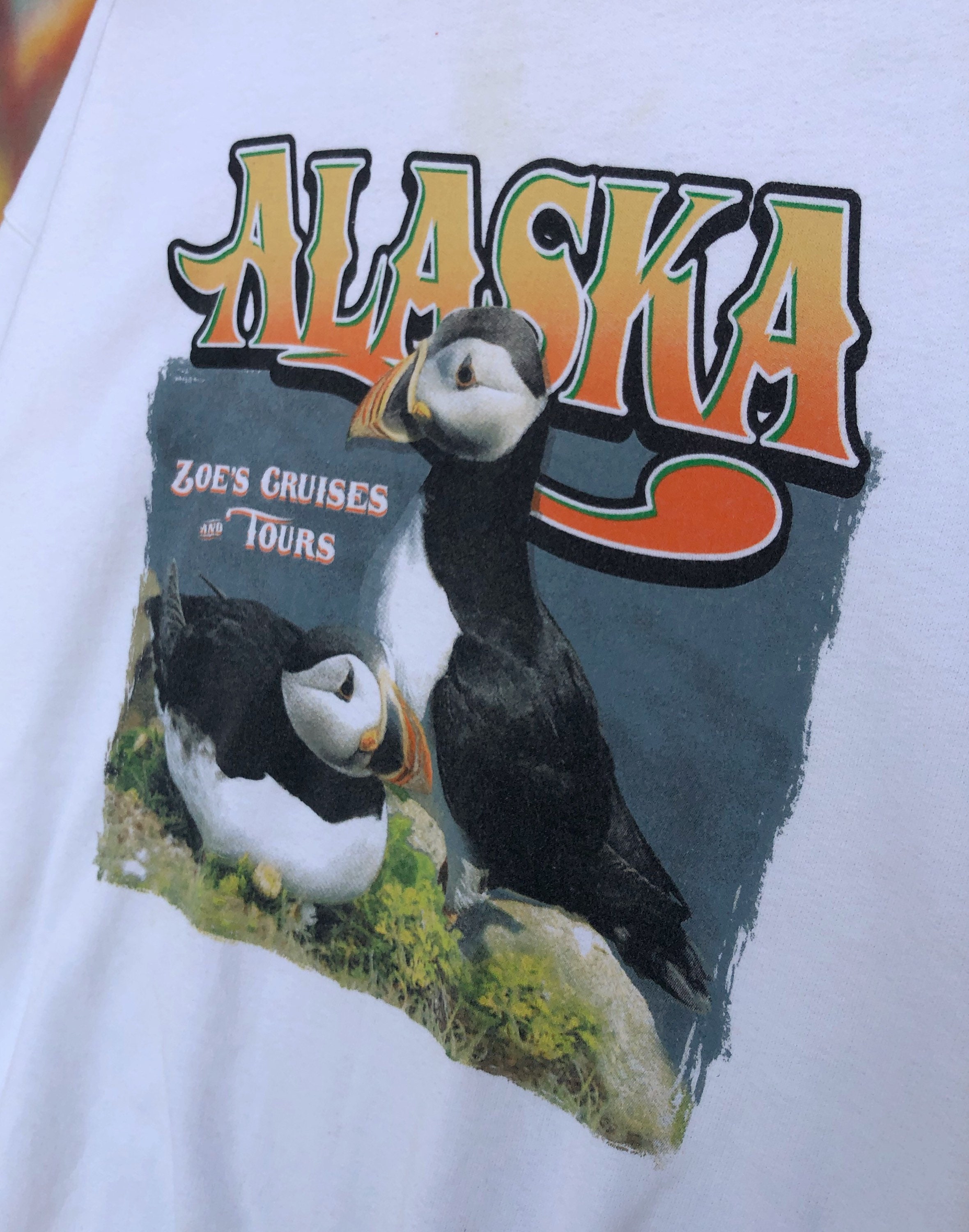 VintageRARE Alaska Zoes Cruises Tours spellOut Big Logo | Etsy