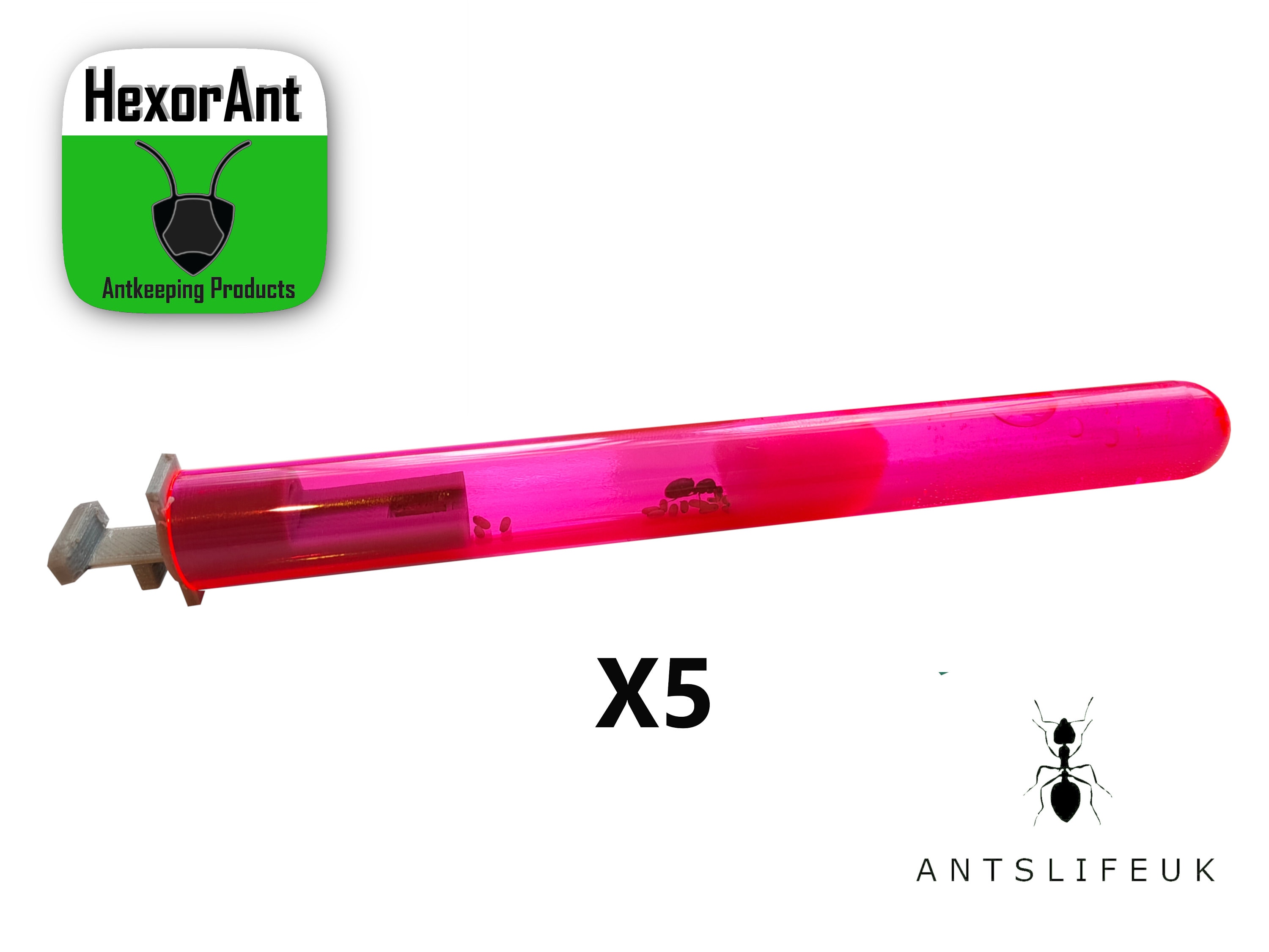 RED Tinted Test Tubes X5 Queen Ant Ant Farm Formicarium Etsy UK