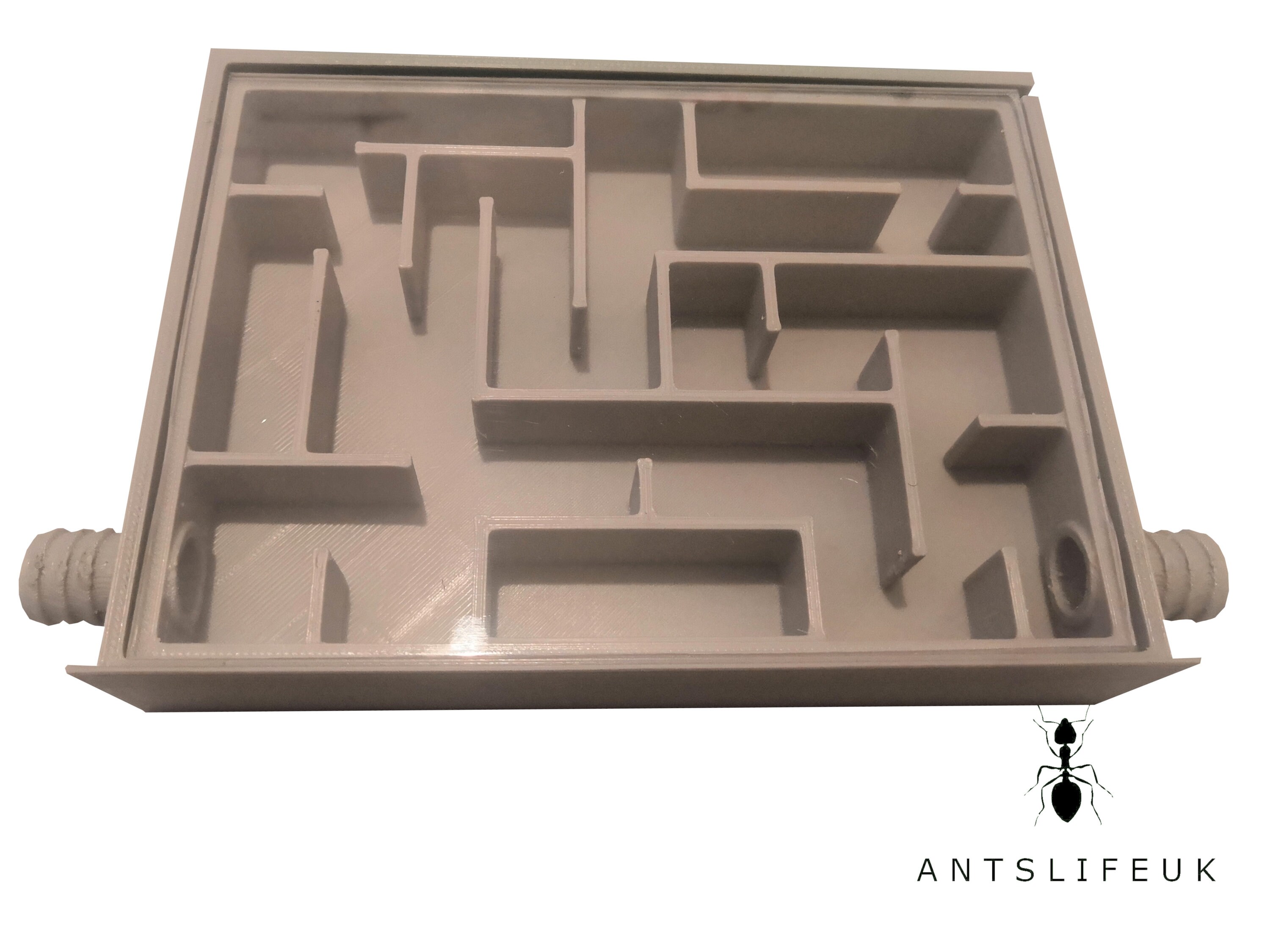 Red Large Ants Nest Outworld Feeding Chamber Formicarium Etsy