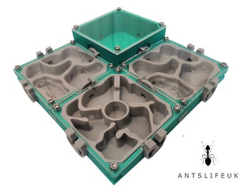 Ultimate Modular Ants Nest - Outworld - Feeding Chamber - Formicarium