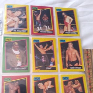 WCW 1991 Impel Wrestling Verzamelkaarten Monday Night Wars Wereldkampioenschap Flair Lex Luger Sting Doom kerstcadeau kousvuller