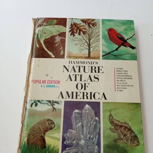 Duży przewodnik Hammonda Nature Atlas of America Biblioteka zabytkowy podręcznik referencyjny Dekoracja domku prezent dla niego Dzień Ojca Nauka
