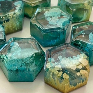 Set of 5 Petri Hexagon Magnets 1" | Teal & Yellow Magnets | Unique Magnets