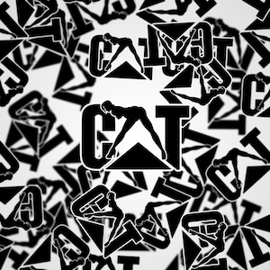 May include: Black and white stickers featuring the word "CAT" with a silhouette of a woman in high heels. The stickers are scattered across a white background, creating a repeating pattern. The woman is posed in a suggestive manner.