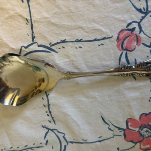 May include: A silver sugar spoon with an ornate handle and a scalloped bowl.