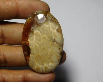 Amazing Quality Fossil coral Gemstone Natural Fossil coral Cabochons Handmade Fossil coral With Good feelings 71Cts. (46X30MM)