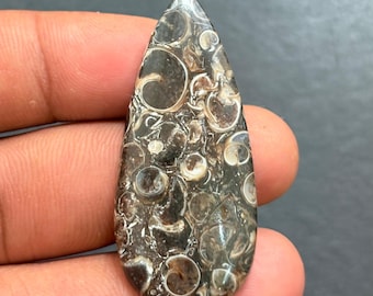Handgefertigter Turritella Achat Cabochon Edelstein (49 x 21 mm, 44Cts)