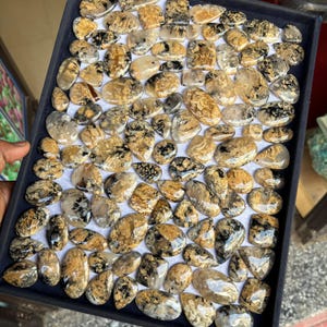 Tiger-Dendrit-Achat-Cabochons: Handgefertigte Edelstein-Lot (5000 Karat / 1 kg) Bild 3