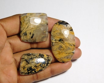 素晴らしい品質のタイガーデンドライトアゲート ロット宝石 天然