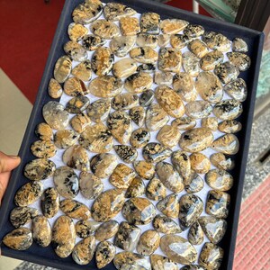 K&ouml;nnte beinhalten: Eine Schale mit &uuml;ber 60 polierten, nat&uuml;rlichen, schwarzen und goldenen dendritischen Achat-Cabochons. Die Cabochons haben verschiedene Formen und Gr&ouml;&szlig;en und eine glatte, polierte Oberfl&auml;che.