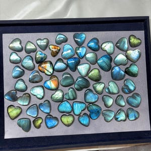 May include: A collection of heart-shaped labradorite gemstones in various shades of blue, green, and gold. The stones are arranged in a display box.