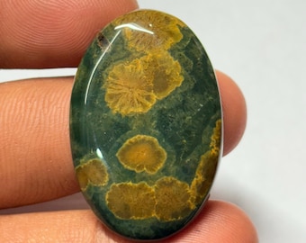 May include: Polished, oval gemstone with a dark green base and golden-brown, circular patterns. The stone is held between fingers, highlighting its shape and size. The gemstone's surface is reflective.