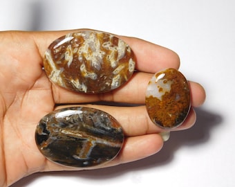 Cabujones de ágata en forma de aguja (154 cts)