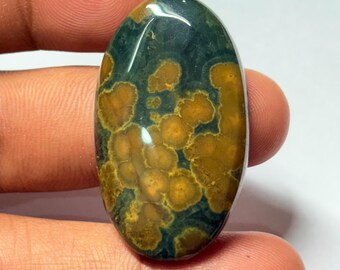 May include: An oval gemstone with a polished surface. It displays a pattern of golden-brown spots on a dark teal background. The gemstone is held between fingers, highlighting its shape and colour variations.
