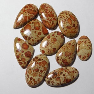 10piece lot AAA Amazing Quality Asteroid jasper Gemstone Natural Asteroid jasper Cabochon Handmade With happy feelings 356Cts.