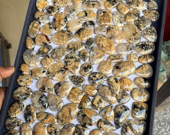 素晴らしい品質のタイガーデンドライトアゲート ロット宝石 天然