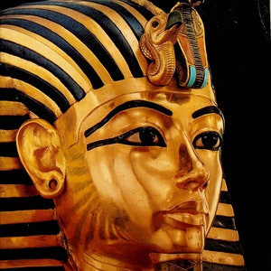 その他 King Tut-Face of Tutankhamun [VHS] Amazon.com: King Tut - The Face of Tutankhamun [DVD