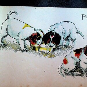 Vintage Kinderbuch Chromolithographie Tiere SchweinChen Hunde Pony Lamm