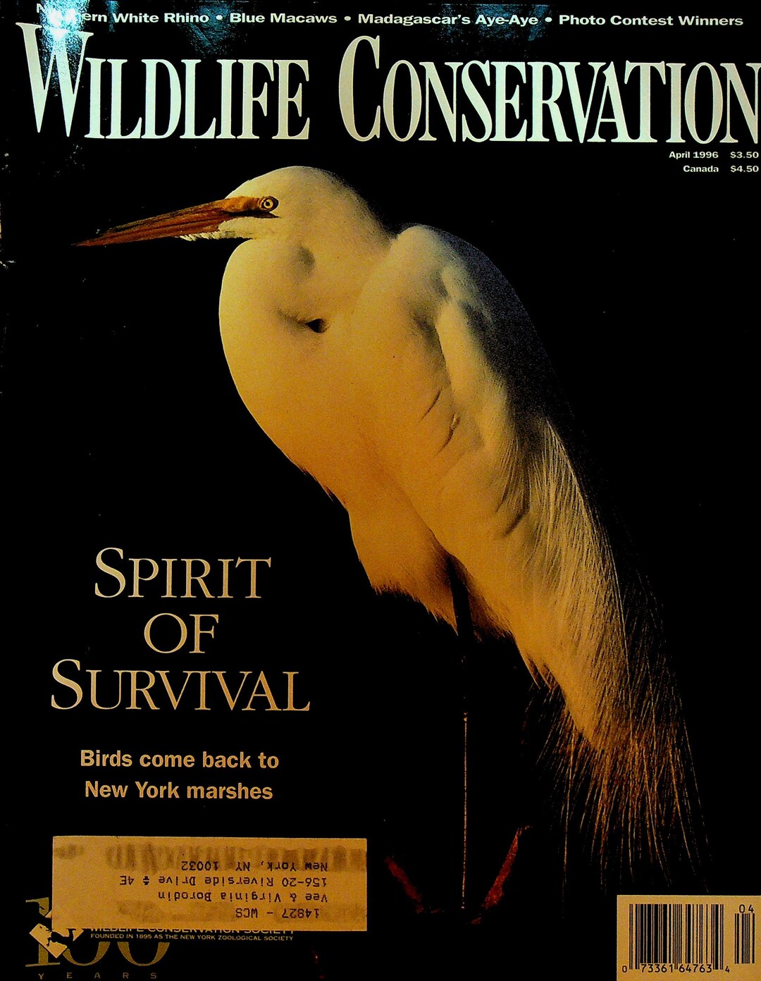 Fresh Look at Wildlife Conservation Magazine April 1996 Rhino Blue Macaws New York