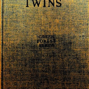 Buster Bear&#39;s Twins by Thornton W Burgess Green Forest Series Harrison Cady