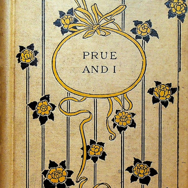 Prue and I by George William Curtis Hurst & Co 1910s HC Book