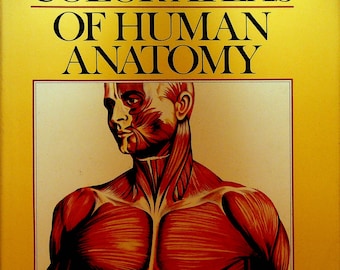 The Color Atlas Human Anatomy HC DJ Book - Etsy