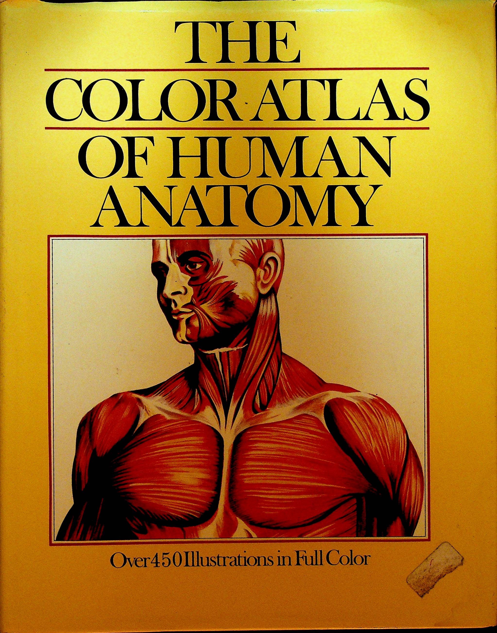 洋書 A Colour Atlas of Human Anatomy A Colour Atlas of Human Anatomy: McMinn MD PhD FRCS(Eng