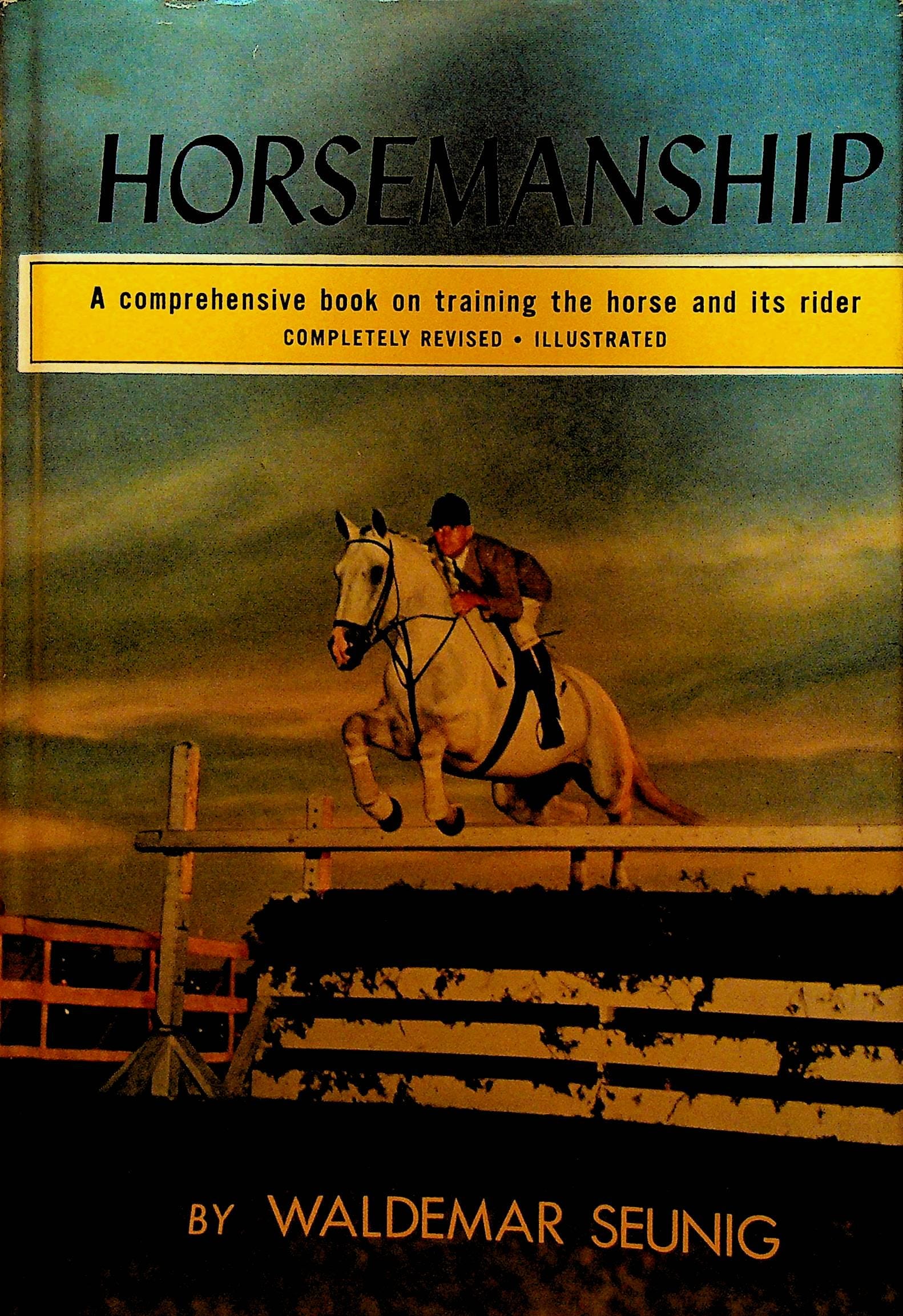Le travail à pied du cheval | Cheval Partenaire