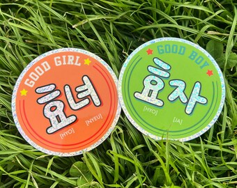 Holographic Korean Stickers, Reflective Laptop Stickers pack, Water Bottle, Phone, Computer