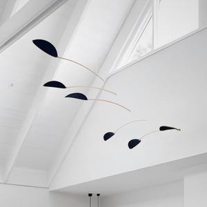 Puede incluir: Una escultura móvil negra con múltiples varillas metálicas delgadas y piezas negras en forma de hoja que cuelgan del techo.