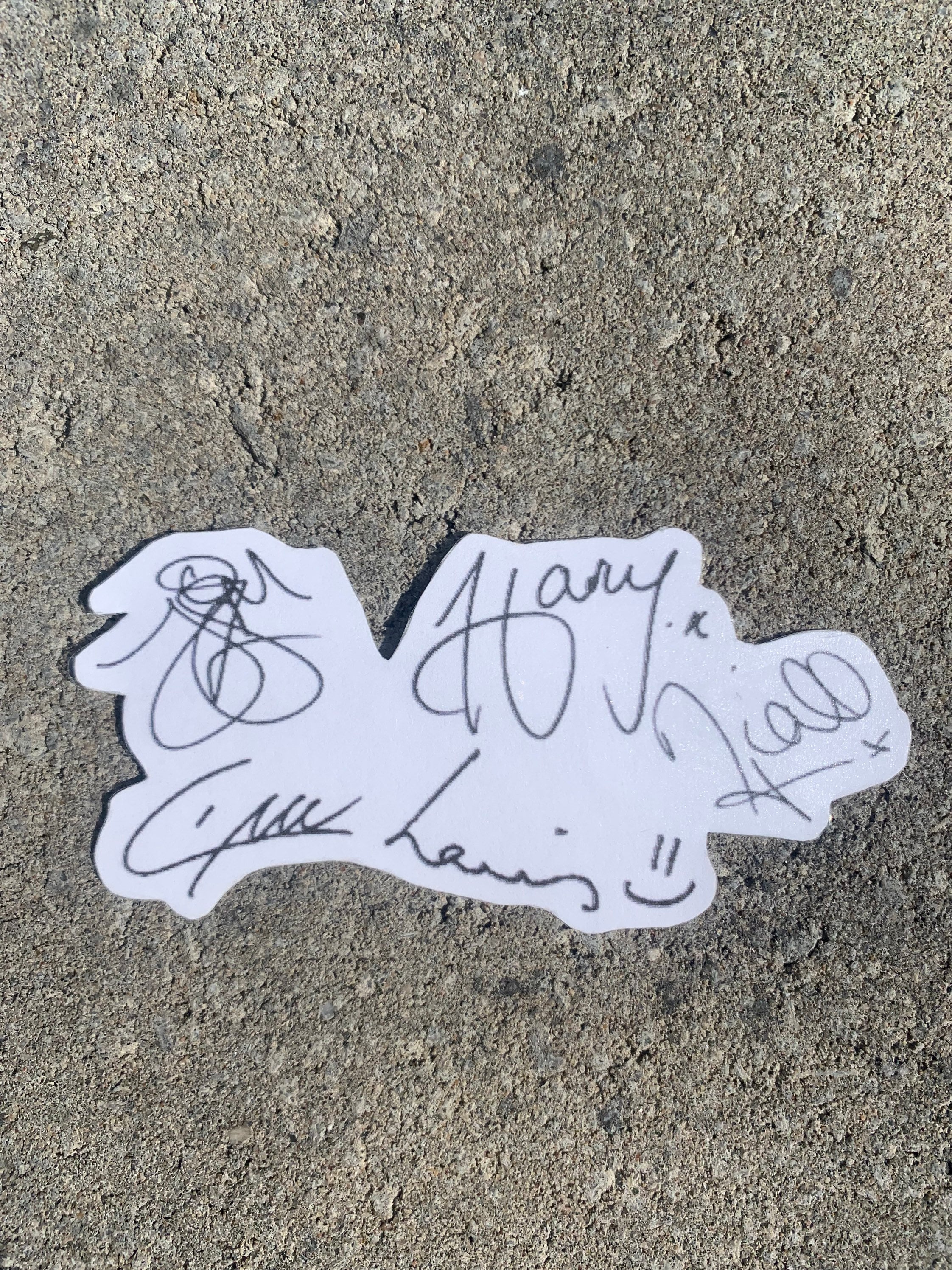 One Direction Plasticized Signature Stickers/ Zayn Malik/ Liam | Etsy