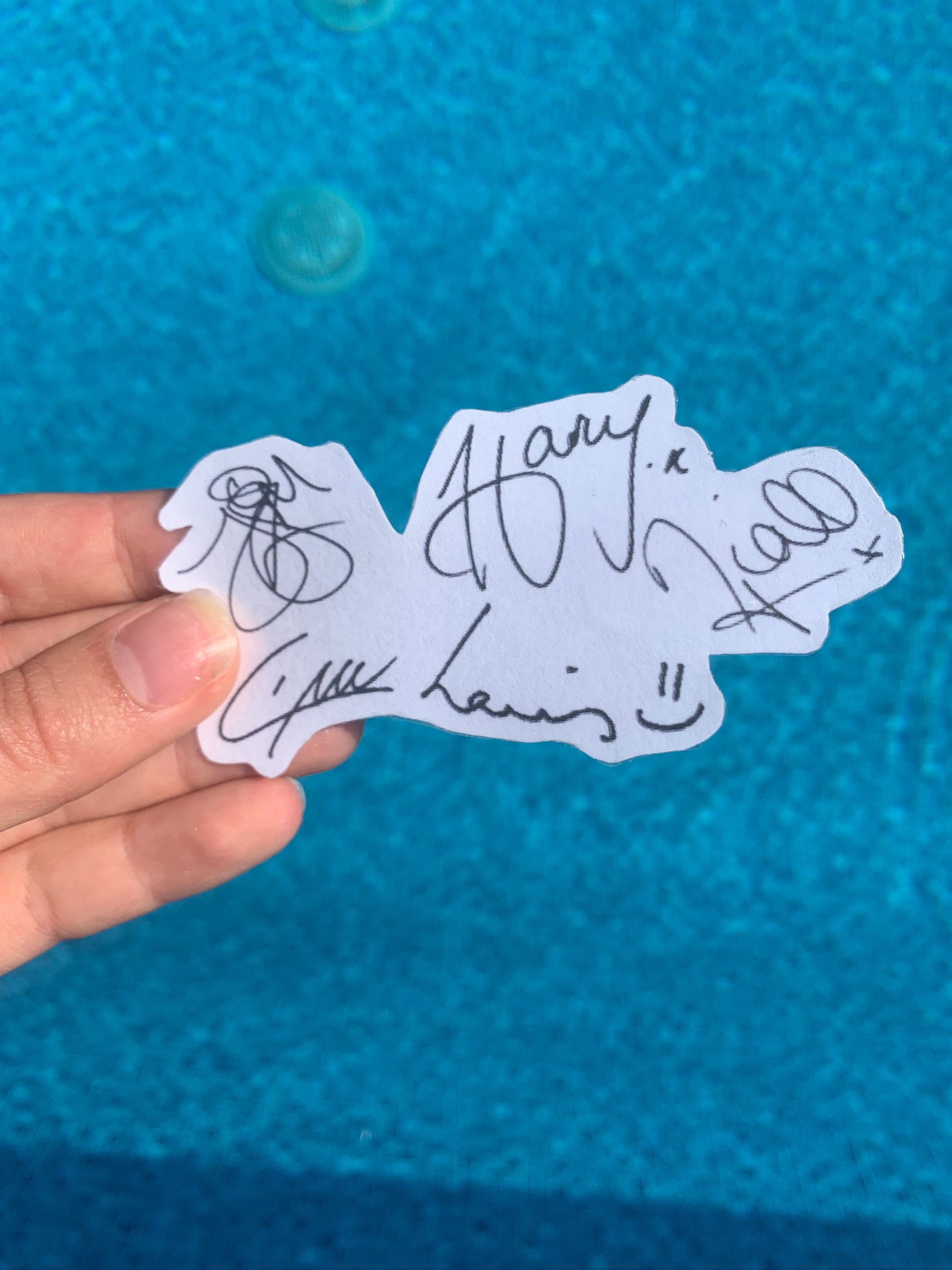 One Direction Plasticized Signature Stickers/ Zayn Malik/ Liam | Etsy