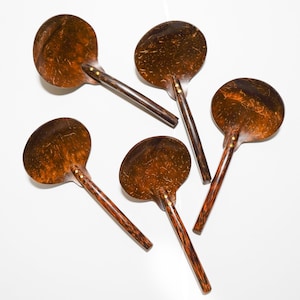 Hand Carved Coconut shell Serving Spoons - Set of 5